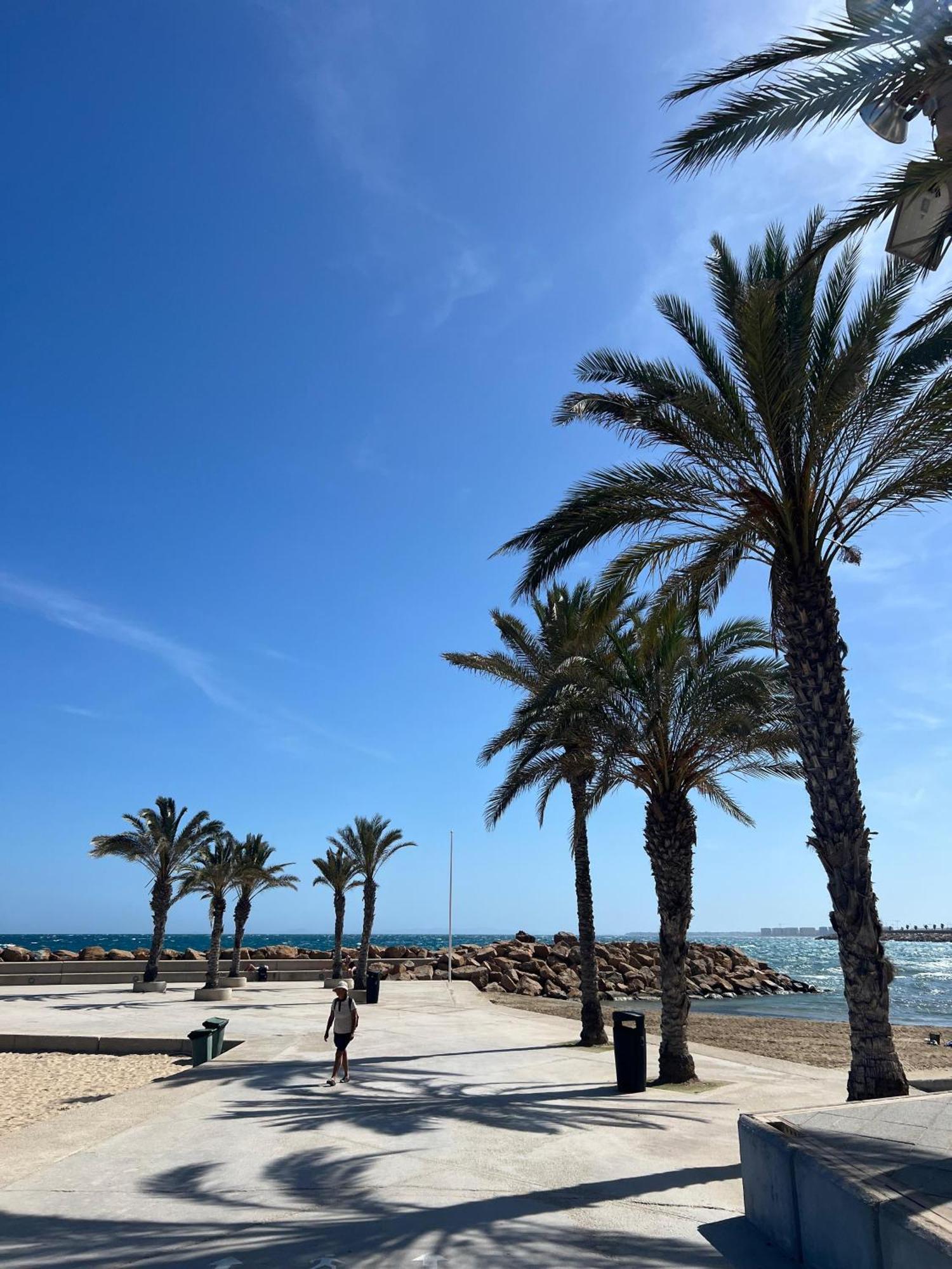 Appartement Torrevieja Alicante Εξωτερικό φωτογραφία