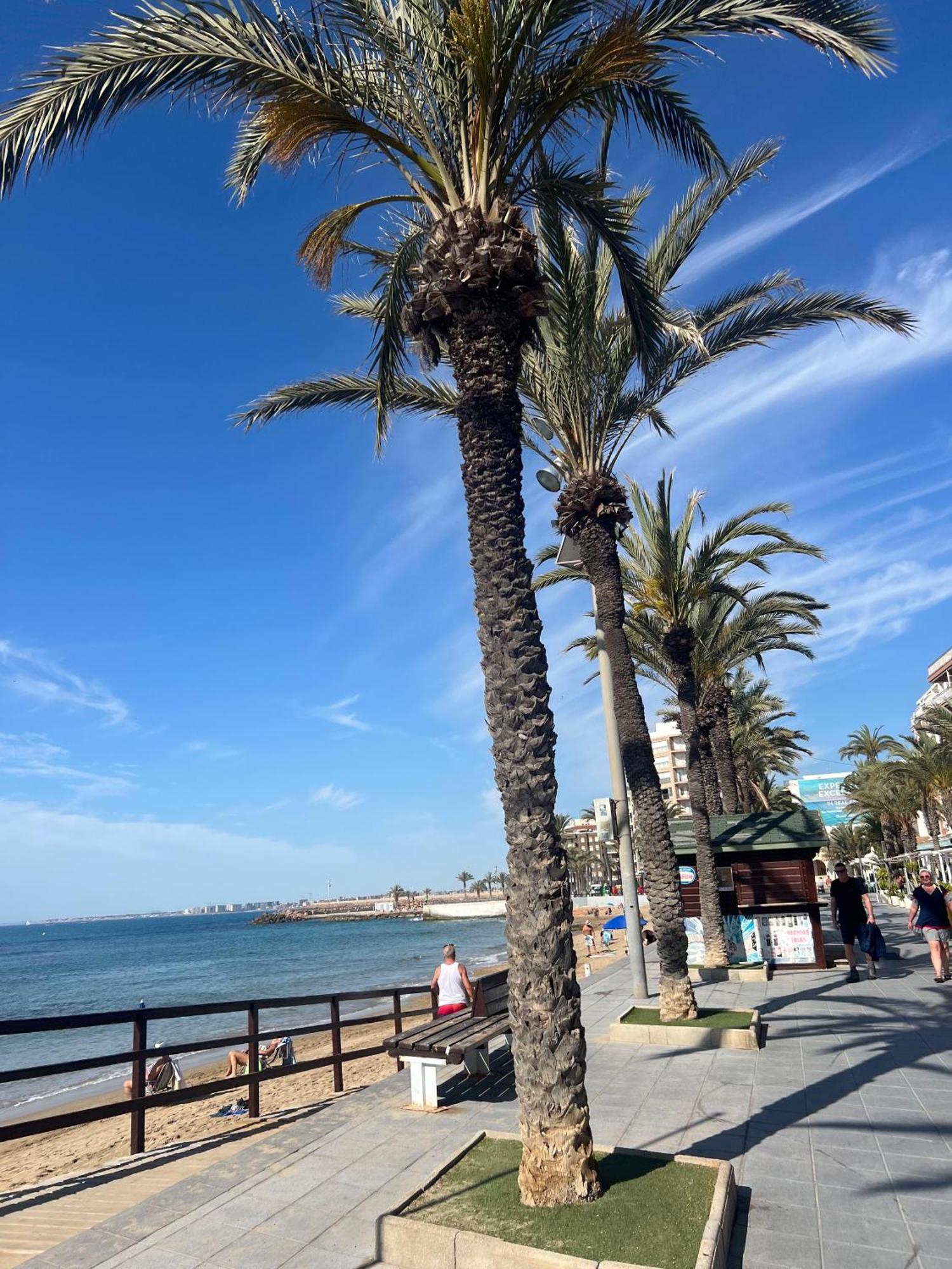 Appartement Torrevieja Alicante Εξωτερικό φωτογραφία
